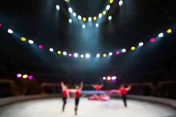 Les spectacles incontournables du Puy du Fou : plongez au cœur de l'histoire